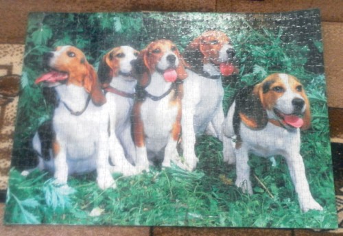 Астрель 1000 Гончие .jpg (378.8 КБ) 1490 просмотров Астрель 1000 Гончие .jpg