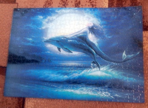 Степ 560 Дельфин и русалка.jpg