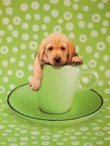 Master Pieces - 550 - Green With Envy - 60416.JPG