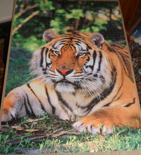 32.JPG (1.03 МБ) 2697 просмотров 32.JPG