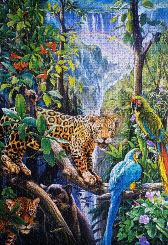 Rainbow paradise # Радуга в раю, 1500 (Castorland С-150885).jpg