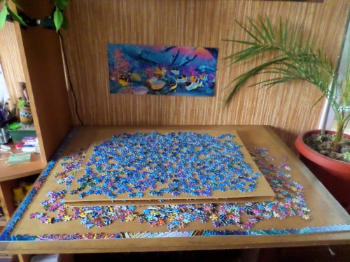 пакет D рассортирован.JPG