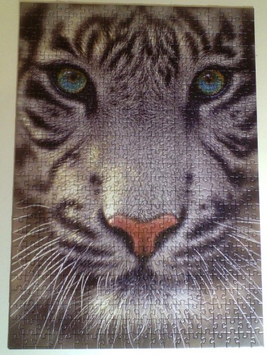 белый тигр эдука 500.jpg