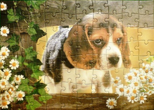 DSC00101_1.JPG (224.82 КБ) 3562 просмотра DSC00101_1.JPG