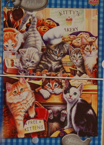 котята-3.jpg (132.36 КБ) 4218 просмотров Коробка.