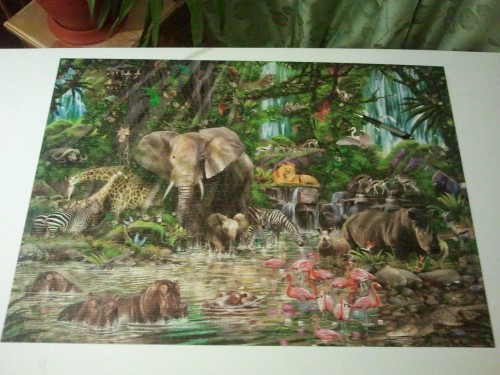 2016-02-19 03.47.39.jpg