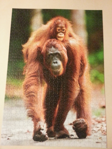 2016-03-02 19.20.40.png