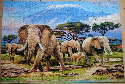 9202458.jpg