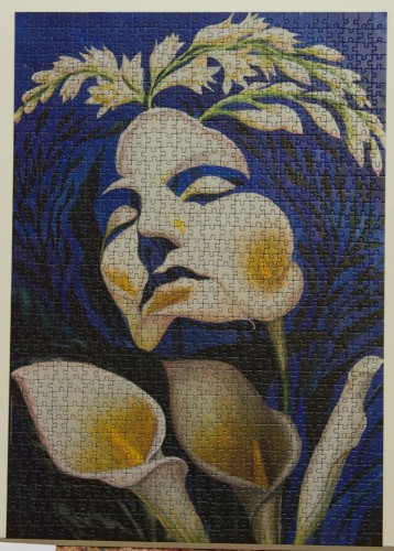Heye, Face, Octavio Ocampo, 1000