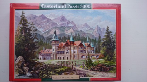 9527396.jpg