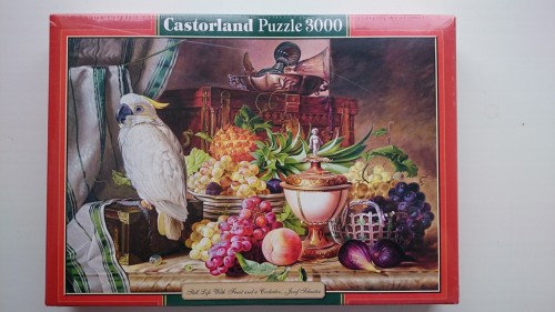 9538656.jpg