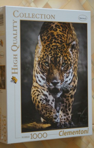 Сердитый ягуар.JPG