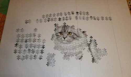 P7090042.JPG (196.59 КБ) 3387 просмотров P7090042.JPG