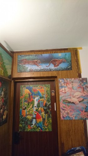 DSC_0097_360x640.jpg