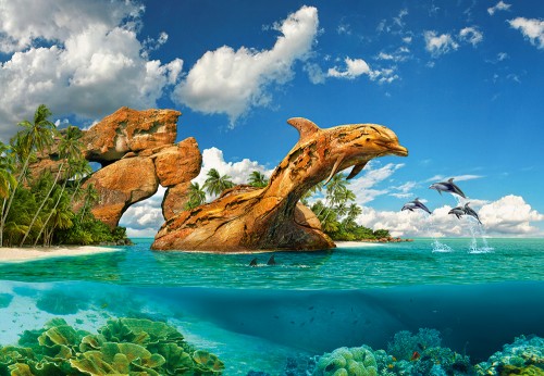 C-103508_Dolphin-Paradise.jpg