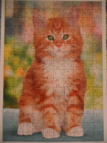 160_RedCat_Котёнок-мечта.JPG