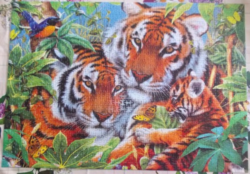 Дикая нежность, 1000, Эдука.JPG