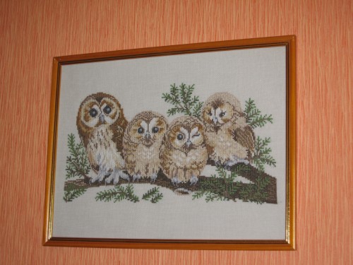 IMG_2315.JPG (2.78 МБ) 7439 просмотров IMG_2315.JPG