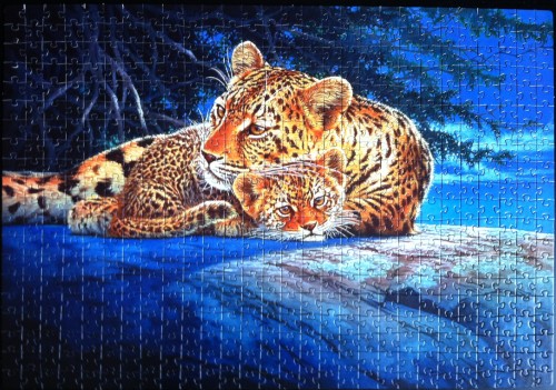 Step, 560, Леопарды.JPG