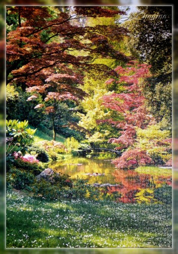 JAPANESE GARDEN<br />Размер 680 х 960 мм, 2000 шт.<br />Trefl puzzle, Poland