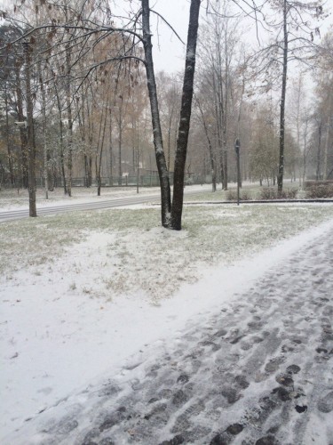 1снег.jpg