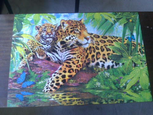 DSC_0430.jpg (1.13 МБ) 1987 просмотров DSC_0430.jpg