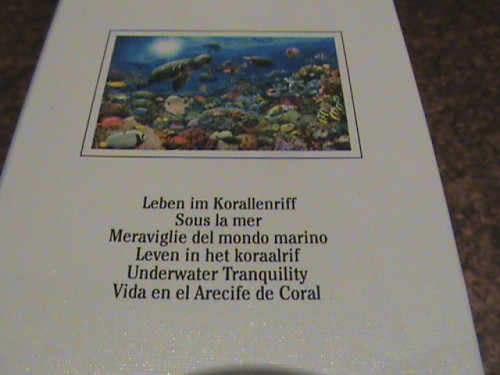 DSC04175.JPG