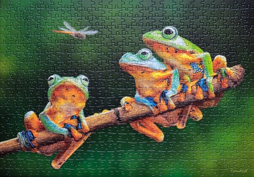 The Frog Companions # Компания лягушек, 500 (Castorland 52301).jpg