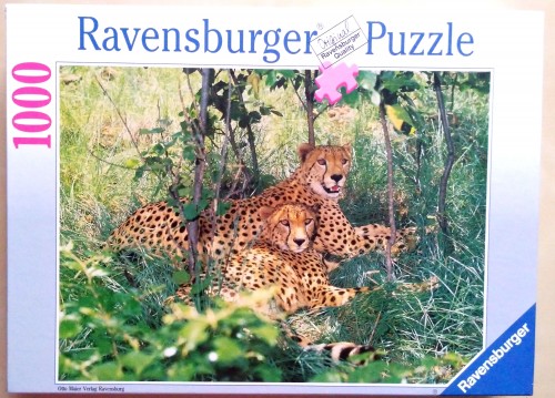 Ravensburger 1000 Idyllic Jungle (Коробка).jpg