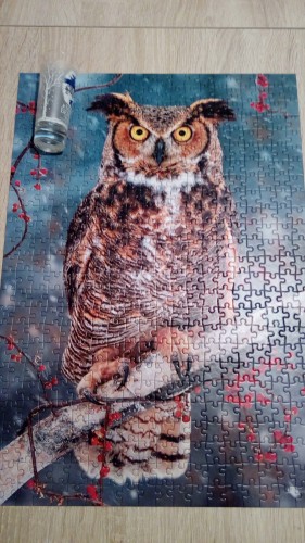 IMG_20170122_181234.jpg (1.22 МБ) 2168 просмотров IMG_20170122_181234.jpg