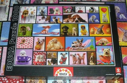 Educa-15518-Shared moments-1000-1.JPG