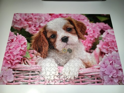 IMG_8453.JPG (2.44 МБ) 928 просмотров IMG_8453.JPG