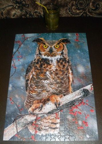 Castorland-B-52387-Great Horned Owl-500.JPG