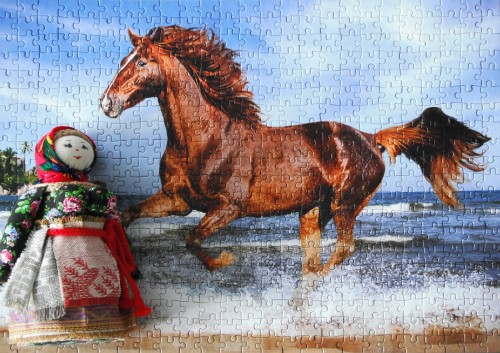 Castor, HORSE ON THE BEACH, 500z.JPG