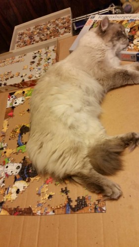 Перерывы были часто ))