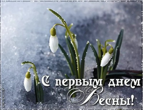 image.jpeg (65.94 КБ) 1189 просмотров image.jpeg