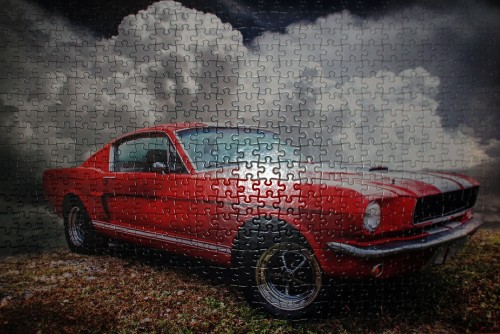 mustang.jpg