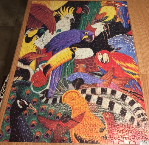 IMG_9063.JPG (1.9 МБ) 946 просмотров IMG_9063.JPG