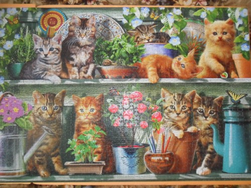 SAM_2506.JPG (821.61 КБ) 1263 просмотра SAM_2506.JPG