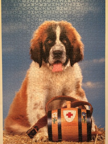 IMG_1370.JPG (2.72 МБ) 1002 просмотра IMG_1370.JPG