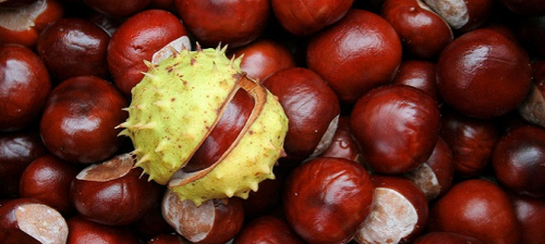 image.png (379.1 КБ) 2188 просмотров image.png