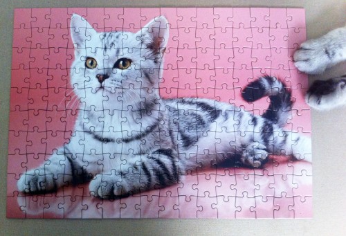 Рыжий кот 160.jpg