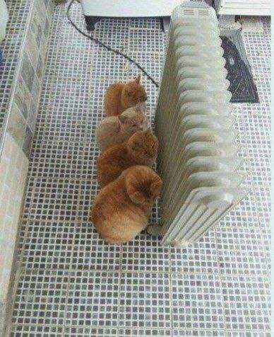 Скажем прямо.jpg