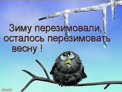 397.jpg
