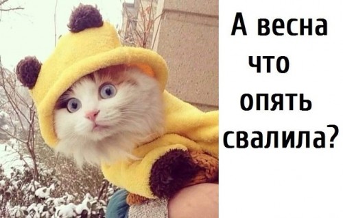 398.jpg