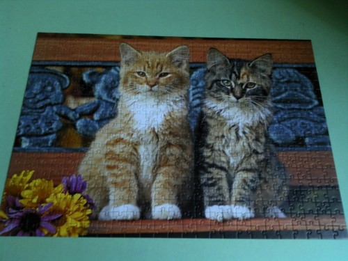 Котята.jpg