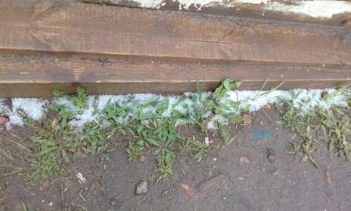 20170602_120131.jpg