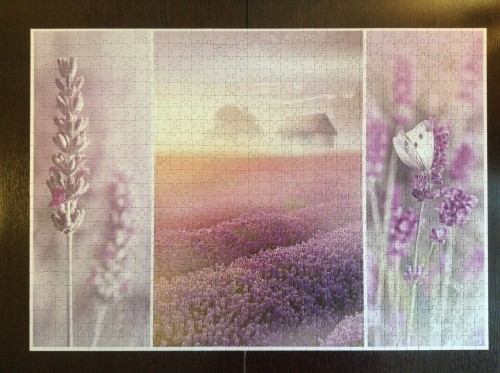 42 Trefl 1000 Лавандовые поля.jpg