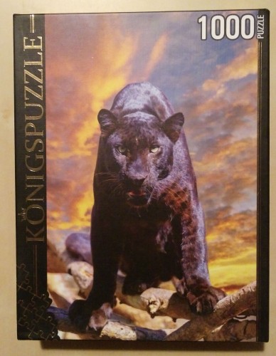 Рыжий Кот 1000 Пантера.jpg