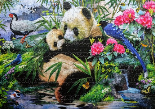 Panda # Панда, 1000 (Trefl 10257).jpg